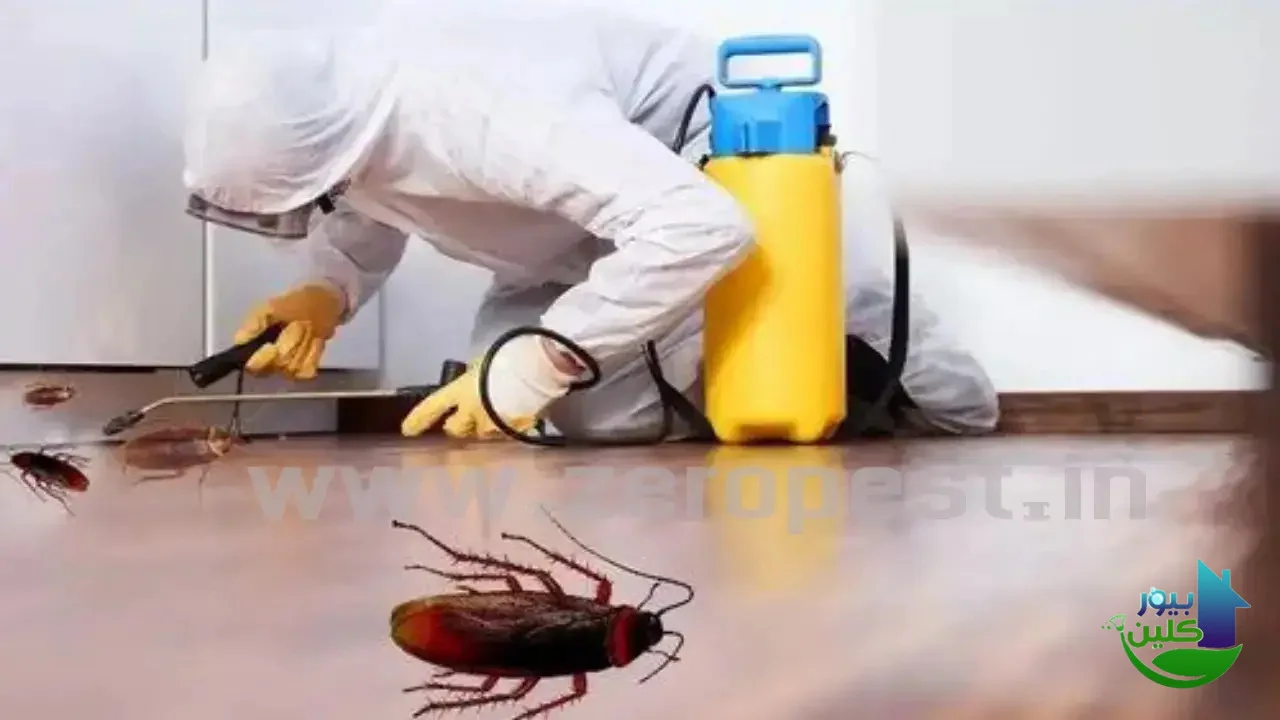 شركة مكافحة صراصير في أبو ظبي