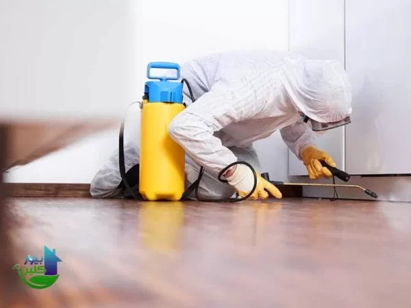 افضل شركة مكافحة حشرات في الهيل