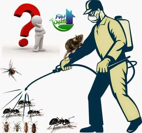 شركة مكافحة الرمه في راس الخيمة