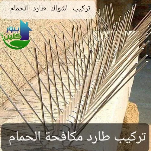 شركة مكافحة حمام